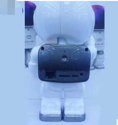 Astronaut Robot Camera IP Wifi Wireless P2P Security Surveillance